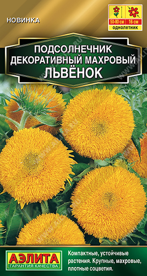 Подсолнечник Львенок