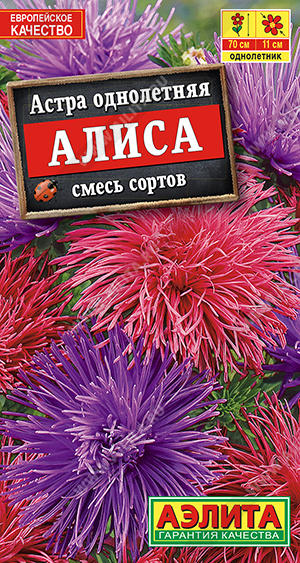 Астра Алиса