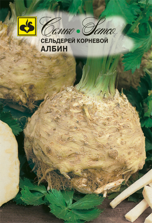 selderej_kornevoj_albin