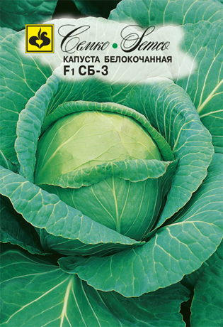 kapusta_belokochannaya_sb3