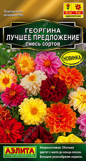 Георгина Лучшее предложение