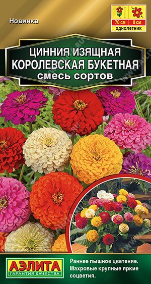 Цинния Королевская букетная