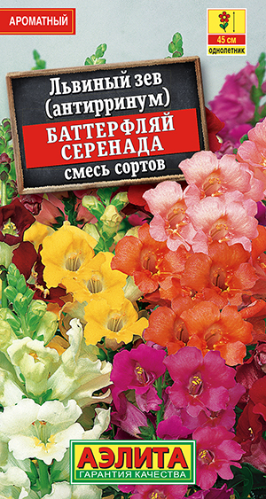 Львиный зев Баттерфляй Серенада, смесь сортов_ЦП