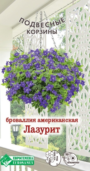 Броваллия Лазурит