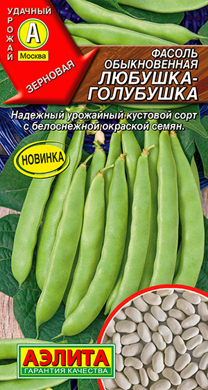 Фасоль обыкновенная Любушка-голубушка_ЦП