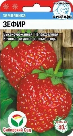 Зефир