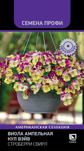 viola_ampelnaya_kul_veyv_stroberri_svirl