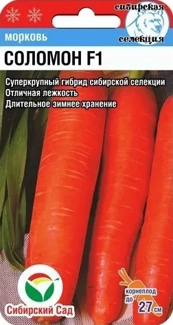 Соломон