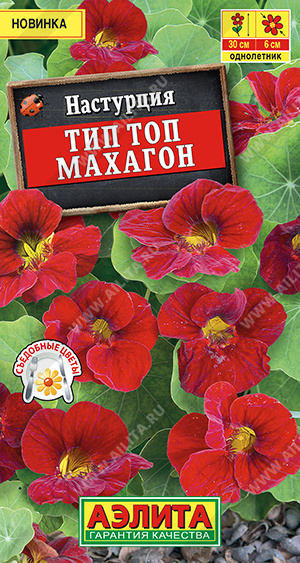 Настурция тип топ махагон