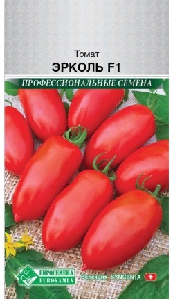 Эрколь