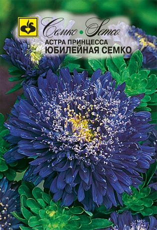 astra_yubilejnaya_semko