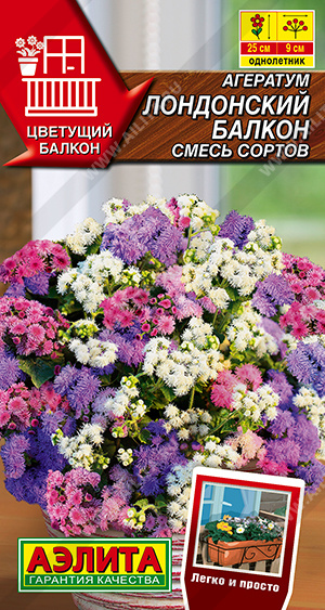 Агератум Лондонский балкон