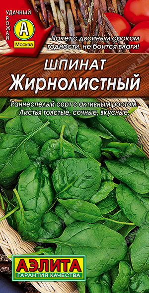 Шпинат жирнолистный