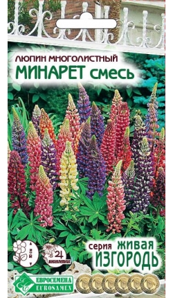 минарет