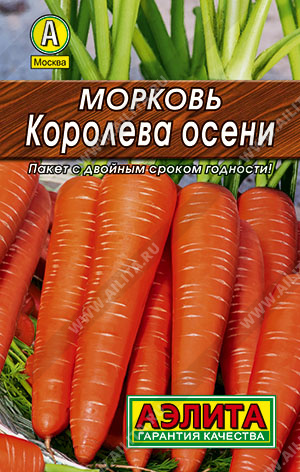 Морковь Королева осени лидер