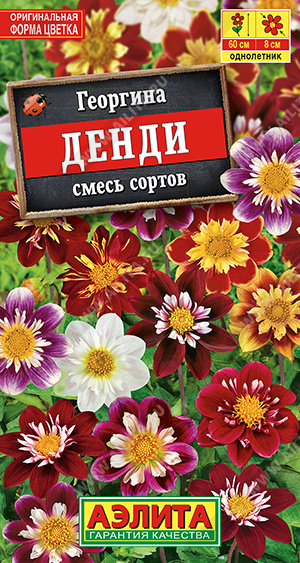 Георгина Денди