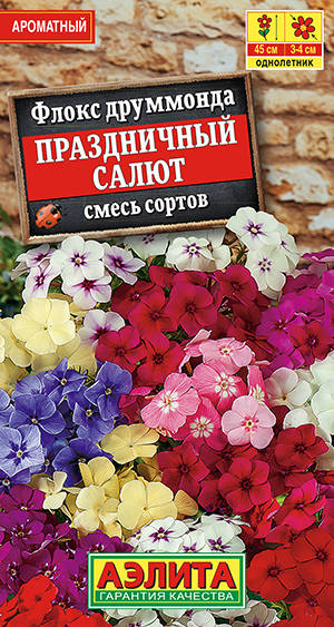 Флокс Праздничный салют, смесь сортов_ЦП