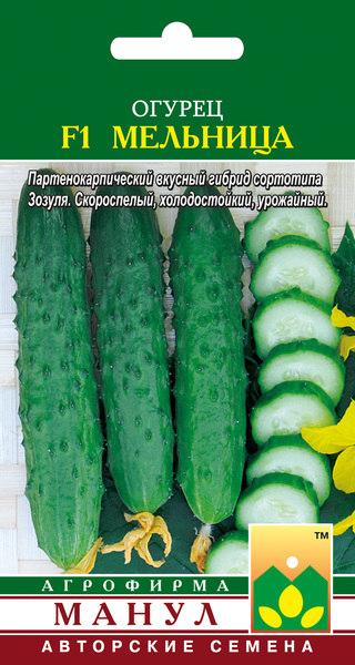 Мельница
