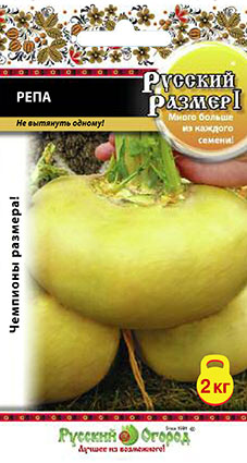 Репа