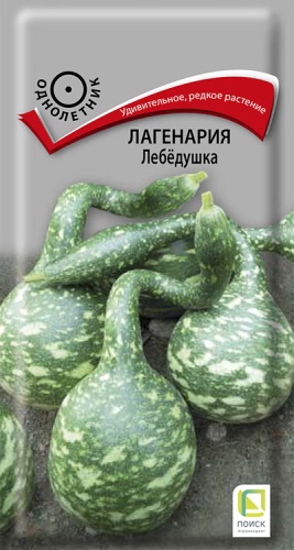 lagenaria_lebedyshka