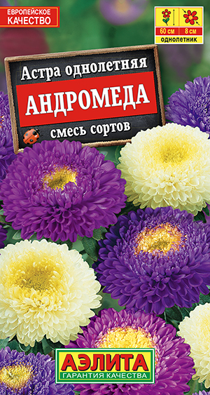 Астра Андромеда, смесь сортов_ЦП