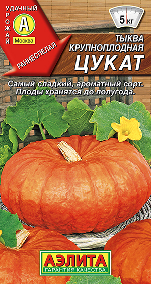 Тыква крупноплодная Цукат_ЦП