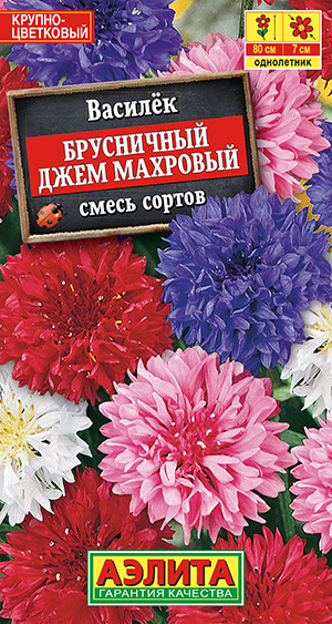 Василек Брусничный джем махровый, смесь сортов_ЦП