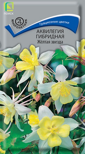 akvilegia_gibrid_zheltaya_zvezda