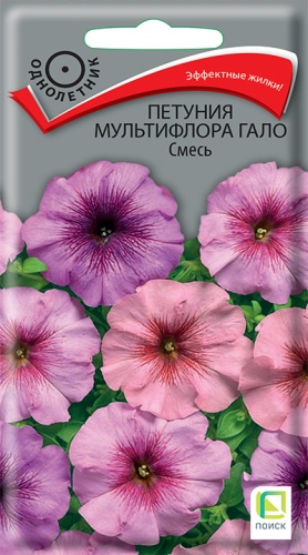 petuniya_multiflora_galo_smes