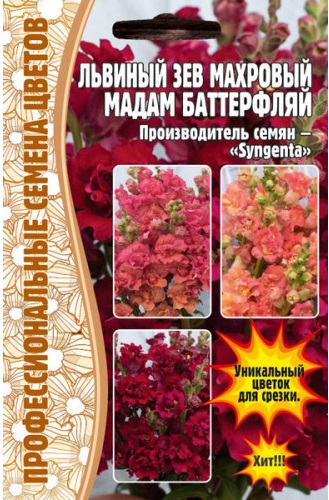 Мадам батерфляй