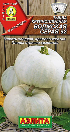 Тыква крупноплодная Волжская серая 92_ЦП