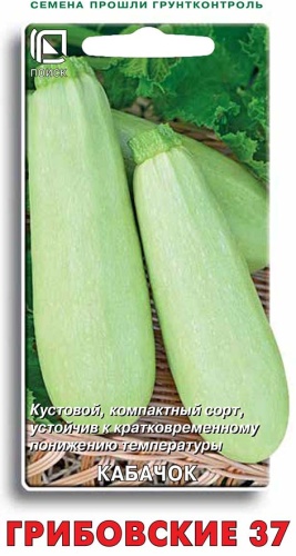 kabachok_gribovskie_37