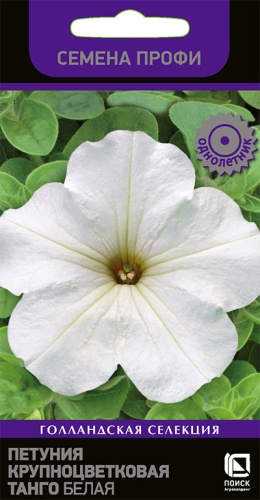 petunia_krupnocvet_tango_belaya