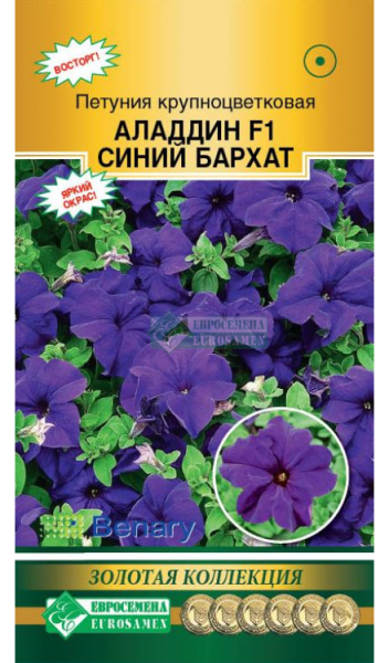Петуния Аладдин Синий Бархат