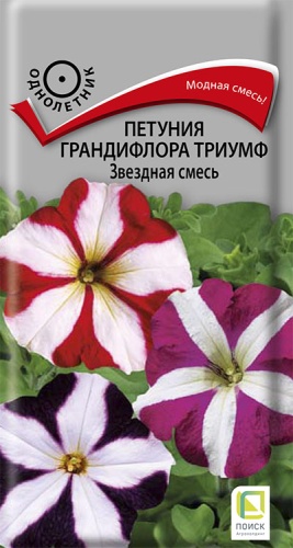 petunia_grandiflora_triumf_zvezdnaya_smes