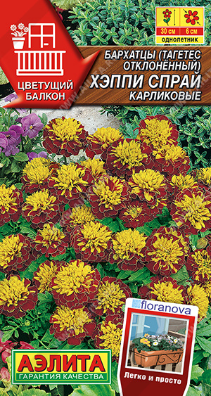 Бархатцы Хэппи спрай