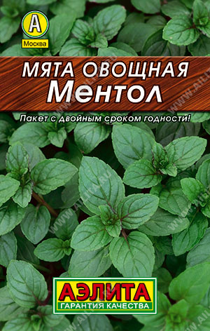 Мята Ментол