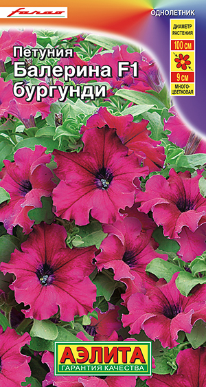 Петуния Балерина бургунди крупноцветковая F1_ЦП