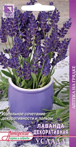 lavanda_uslada
