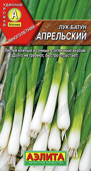 Лук апрельский