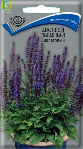 shalfey_pyshny_fioletovy