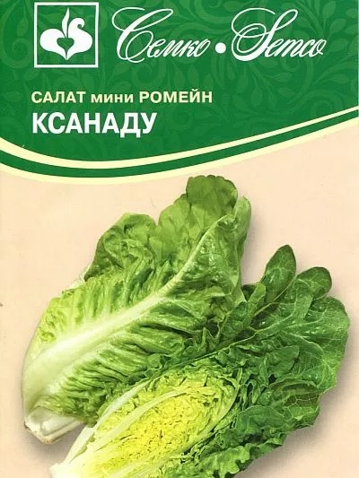 Салат Ксанаду
