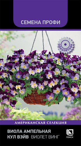 viola_ampelnaya_kul_veyv_violet_ving
