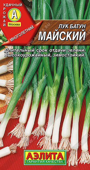 Лук Майский