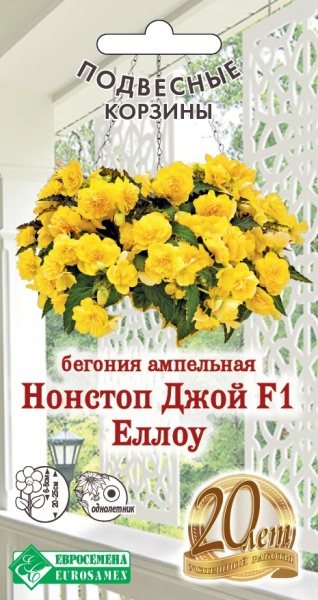 Бегония Нонстоп Джой Еллоу