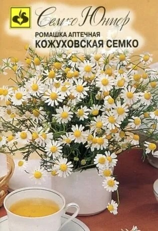 Ромашка Кожуховская Семко