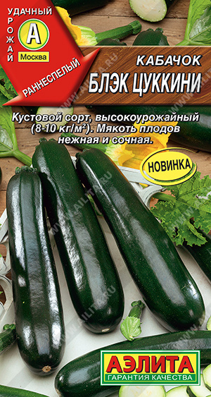 Блэк циккини