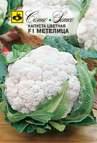 kapusta_cvetnaya_metelica