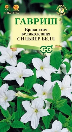 Броваллия Сильвер Белл