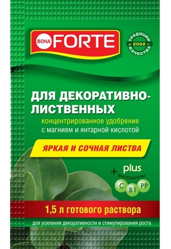 BF_sashe_2018-03_500